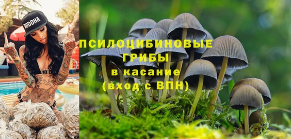 ПСИЛОЦИБИНОВЫЕ ГРИБЫ Сатка