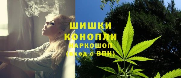 PSILOCYBIN Пролетарск
