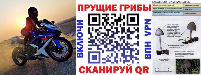 Галлюциногенные грибы Magic Shrooms  где продают наркотики  Краснотурьинск 